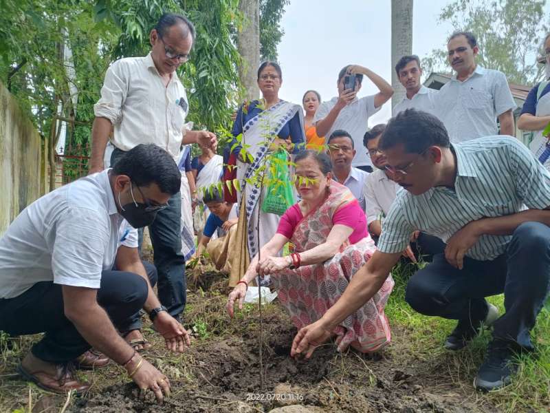 Chief Minister's Institutional Plantation Programme